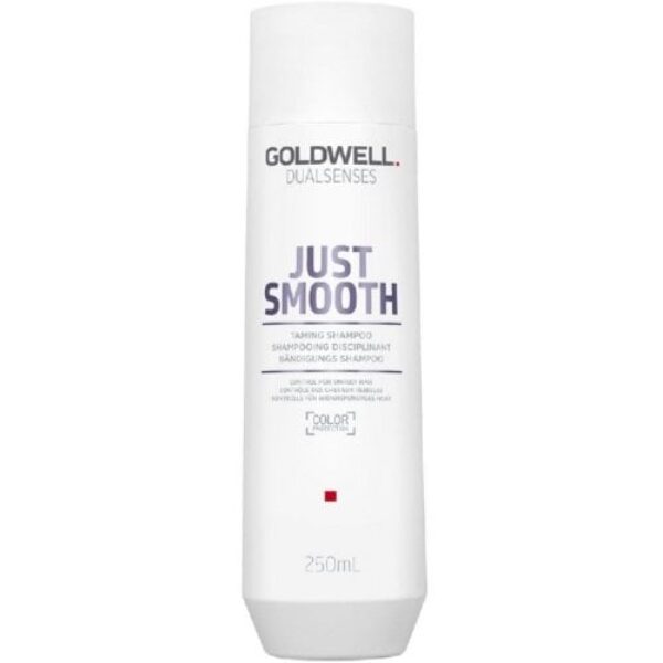 Goldwell Dual Senses Just Smooth Taming Shampoo 250ml