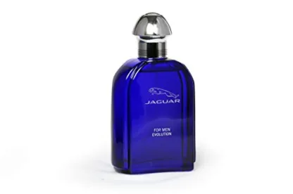 Jaguar Evolution Eau de Toilette 100ml Spray