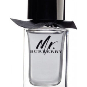 Burberry Mr. Eau de Toilette 100ml