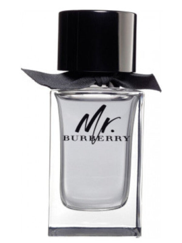 Burberry Mr. Eau de Toilette 100ml