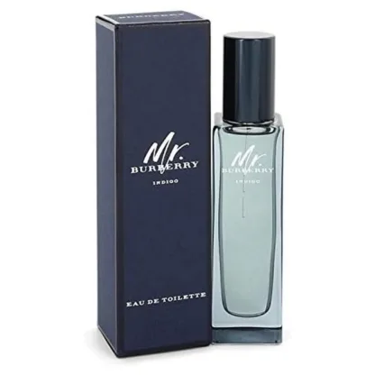 Burberry Mr Burberry Eau De Toilette 30ml