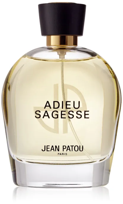 Jean Patou Collection HÃ©ritage Adieu Sagesse Eau de Parfum 100ml Spray