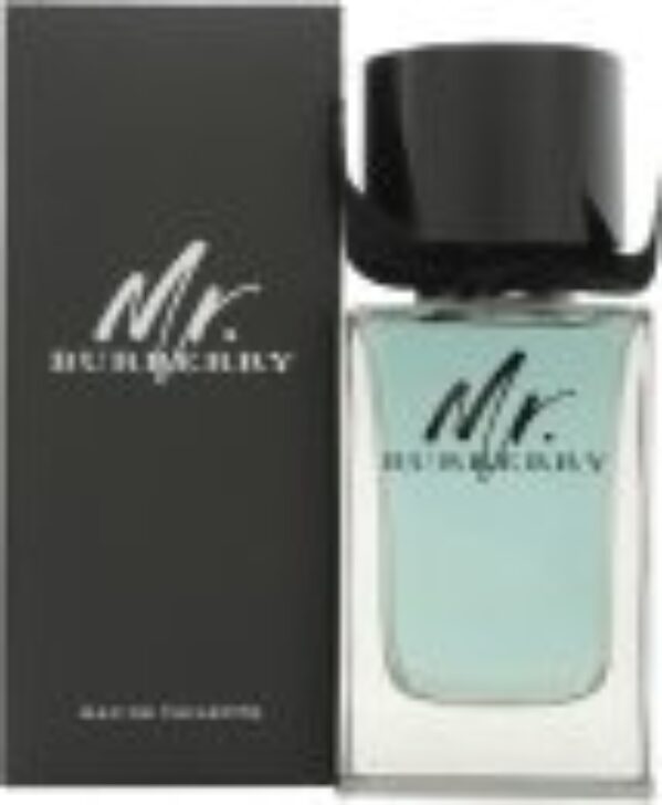 Burberry Mr. Burberry Eau de Toilette 100ml Spray