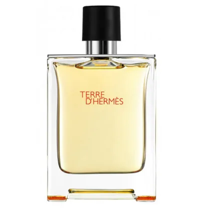 Hermes Terre D'Hermes Eau de Toilette 100ml Spray