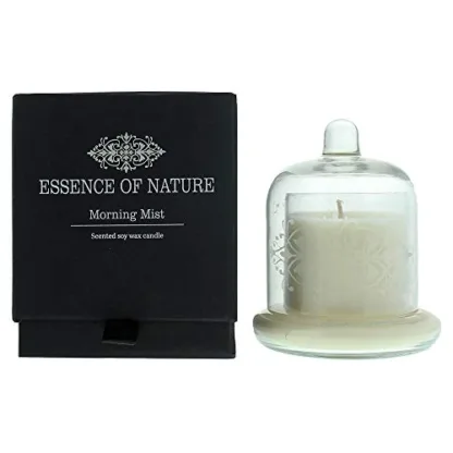 Liberty Candles Scented Candle Essence of Nature 4.5oz Glass Cloche Jar Soy Wax Blend Candle in Morning Mist Fragance