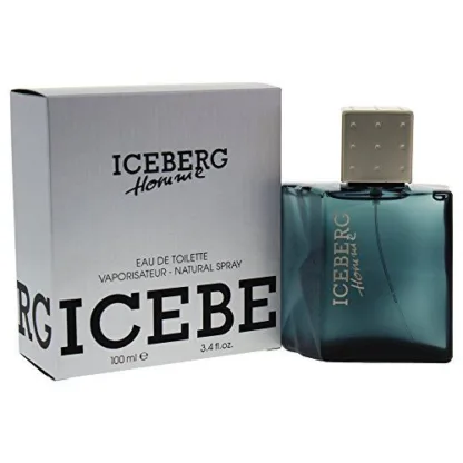 Iceberg Homme Eau de Toilette 100ml Spray