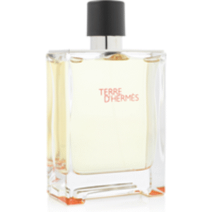Hermes Terre D'Hermes Eau de Toilette 100ml Spray