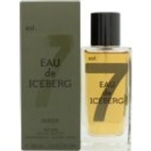 Iceberg Eau de Iceberg Amber Eau de Toilette 100ml Spray