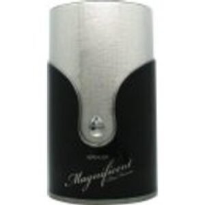 Armaf Magnificent Pour Homme Eau de Parfum 100ml Spray