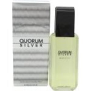 Antonio Puig Quorum Silver Eau de Toilette 100ml Spray