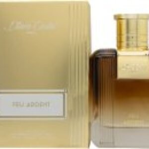 Diane Castel Feu Ardent Eau de Parfum 100ml Spray