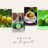 Bravo for bergamot! Citrus sparkle for colder weather