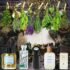 Top 5 Bestselling Discount Perfumes You Need to Try