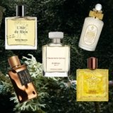Oakmoss: The Perfumer’s Gift