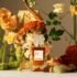 The Best Discount Perfumes That Don’t Compromise On Quality